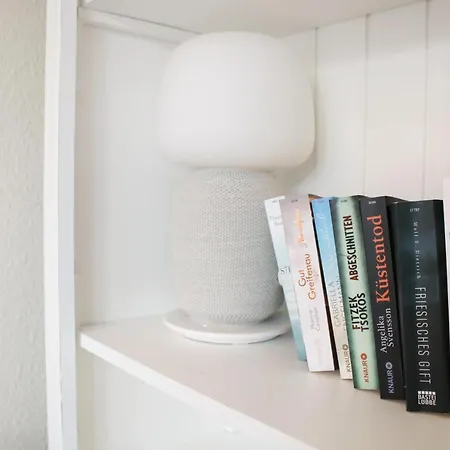 Langeooger Viermaster - Gruenes Segel